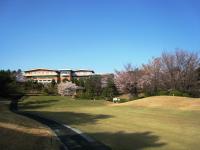 20100411sakura-4.JPG