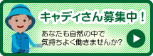 キャディーさん募集中！